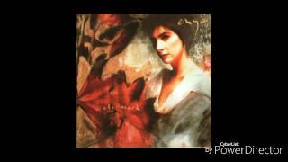 Enya Watermark Instrumental Medley [upl. by Barraza565]