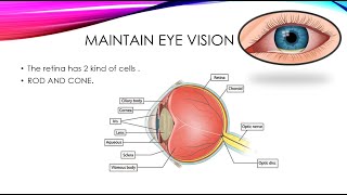 structure of eye [upl. by Ahsiruam268]