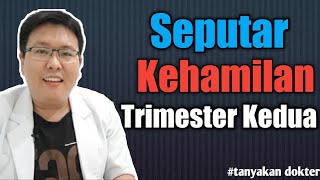 KEHAMILAN TRIMESTER KEDUA [upl. by Canute]