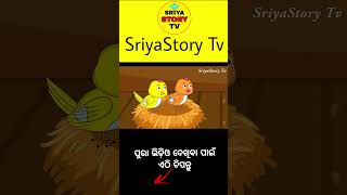 bahare jore barsha heuchi birdstories cartoon tikichadheigapa [upl. by Nyliuqcaj]