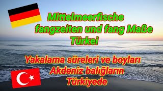 Angelzeiten  Fangzeiten für Mittelmeerfische  Akdeniz balıklarının avlanma süreleri ve av boyutu [upl. by Etteuqaj]