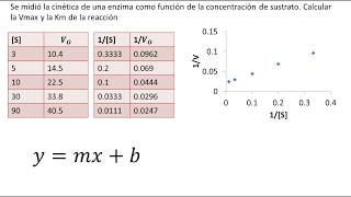 Cinética Enzimática  Diagrama de LineweaverBurk  Ejemplo [upl. by Mighell]