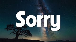 Sorry  Justin Bieber Lyrics [upl. by Paris520]