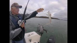 Fishing in Pembrokeshire off the boat [upl. by Fosque]