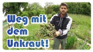 Unkraut im Garten  Unkraut entfernen ernten amp aufräumen [upl. by Goody]