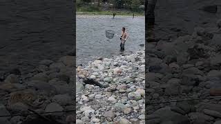 Its not easy to put a really big salmon in a net I ❤️ salmon fishing Vedder river Canada 🇨🇦 53 [upl. by Bluhm760]