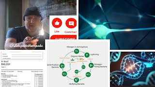 AQA Biology ALevel paper 2 Live stream [upl. by Raffaello]