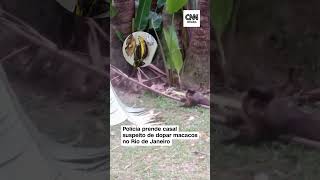 Casal suspeito de dopar macacos no Jardim Botânico é preso no Rio [upl. by Dorion]