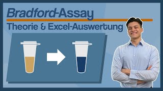 Bradford Assay  Das Brauchst Du  ExcelAuswertung  Tutorial Deutsch [upl. by Stacia258]