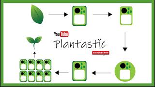 Plant Tissue Culture  Protoplast Culture [upl. by Jaynes]