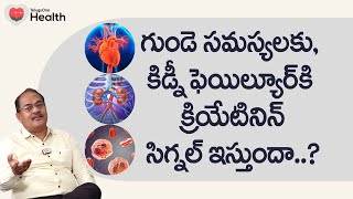 Creatinine Signal  గుండె సమస్యలకు కిడ్నీ ఫెయిల్యూర్‌కి Dr Sree Bhushan Raju  Tone Health [upl. by Elda]