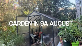 End of Summer Garden urbangardening gardening urbankitchengardening [upl. by Grodin249]