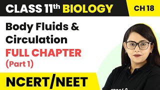 Class 11 Biology Chapter 18  Body Fluids And Circulation Full Chapter Explanation Part 1 [upl. by Soinotna]