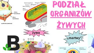 Podział organizmów żywych  KOREPETYCJE z BIOLOGII  322 [upl. by Fonville]