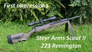 Steyr arms Scout II in 223 First Impressions [upl. by Idarb]