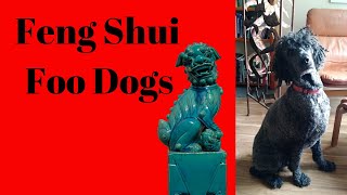 How to Place Foo Dogs Feng Shui Protection Symbol Fu Lions [upl. by Ania612]