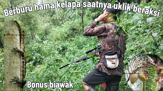 EDAN LURR HAMA DISINI BANYAK BANGET SAMPAI KEBUN PETANI RUSAK SAMA HAMA BAJING BERBURU HAMA [upl. by Doreen]