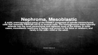 Medical vocabulary What does Nephroma Mesoblastic mean [upl. by Tnecillim]