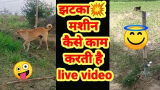 jhatka machine 📻kaise kam karti hai live video must watch [upl. by Sanfourd]