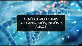 Genética Molecular Genes Exones Intrones Alelos y Herencia [upl. by Meirrak]