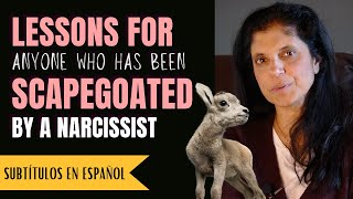 Lessons for anyone who was scapegoated by a narcissist Narcissistic Family Roles [upl. by Annekahs]