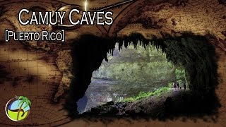 Camuy Caves Puerto Rico [upl. by Agamemnon]