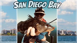 San Diego Back Bay Fishing is GOOD [upl. by Marni909]