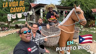 Mostrando La Vida En el Campo en Puerto rico 🇵🇷  elcowboytv [upl. by Chemarin249]