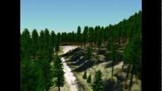 3D digital model of a real forest from LiDAR derived inventory data [upl. by Weisbart]