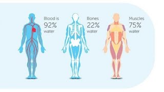 Introduction to Cell Physiology  Body Fluid Compartments  Dr BYSON EM [upl. by Bianka]