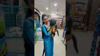 V R Pets amp Kennel Pets Store Hyderabadshortvideosytshortsvideo [upl. by Hirst559]