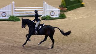 ASPCA Maclay Finals 2021 [upl. by Strephon245]