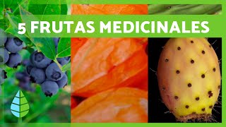 5 FRUTAS MILAGROSAS con PROPIEDADES MEDICINALES 🫐✅ ¡Inclúyelas en tu Dieta [upl. by Idalina]