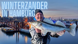 Zanderangeln in Hamburg im Winter Tipps Tricks und Gewinnspiel [upl. by Aivax]