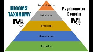 Blooms Taxonomy Psychomotor Domain  Simplest Explanation Ever [upl. by Ettolrahs529]