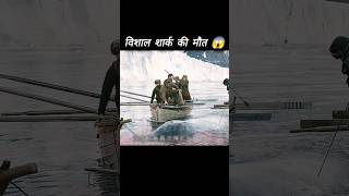 विशाल शार्क की मौत 😱 l Hollywood movie hindi dubbed l shorts hindidubbed shark [upl. by Guevara]