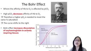 Chapter 82  Transport of O2 and CO2 Bohr Effect  Cambridge ALevel 9700 Biology [upl. by Yllaw446]