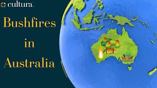 Arabic Bushfires in Australia [upl. by Aramad]