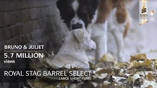 Bruno amp Juliet  Imtiaz Ali Short Film  Royal Stag Barrel Select Large Short Films [upl. by Leaffar]