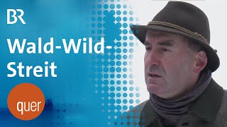 Aiwanger als JagdMinister Was kommt auf Bayerns Wälder zu  quer vom BR [upl. by Rydder]