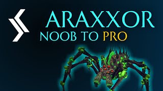 Rax Noob To Pro  Araxxor Solo Guide Ranged  RuneScape 3 [upl. by Fridell]