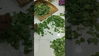 Sunsuniya Bhaji  Sunsuniya bhaji ke fayde food recipe cooking viralvideos youtubeshorts [upl. by Lebazej]