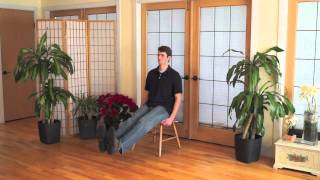 Mindful Chair Yoga A Complete Beginners Practice 40 minutes [upl. by Kieger436]