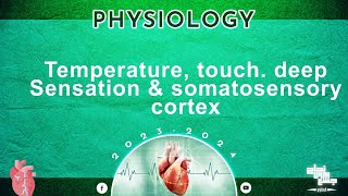 Revision of L5 temperature Touch Deep sensations and somatosensory cortex  physiology [upl. by Nathalia94]