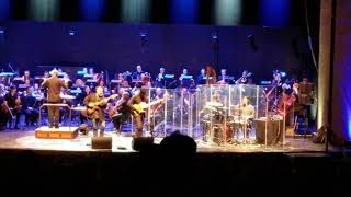 Arithmophobia  Animals As Leaders amp Winnipeg Symphony Orchestra [upl. by Auhesoj]