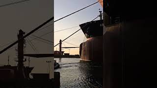 This is how you wash a big anchor ship maritime shipping marine vessel anchor chain metal [upl. by Enilram]