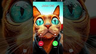 John Cat Calling ♥️😭 at 3AM 🐯 [upl. by Ancell]