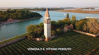 Venissa e il vitigno perduto [upl. by Noah283]