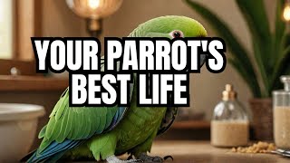 Understanding Your Alexandrine Parrot [upl. by Kanal]