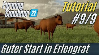 LS22 Tutorial Guter Start in Erlengrat 9 Kühe verkaufen deutsch  für Einsteiger [upl. by Latricia144]